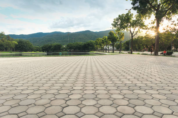 Best Local Driveway Pavers  in Priest River, ID